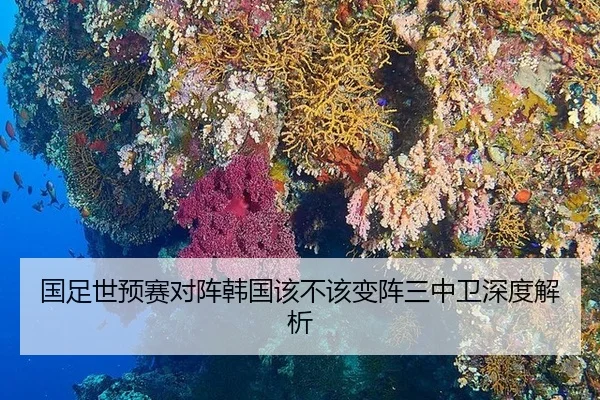 国足世预赛对阵韩国该不该变阵三中卫深度解析